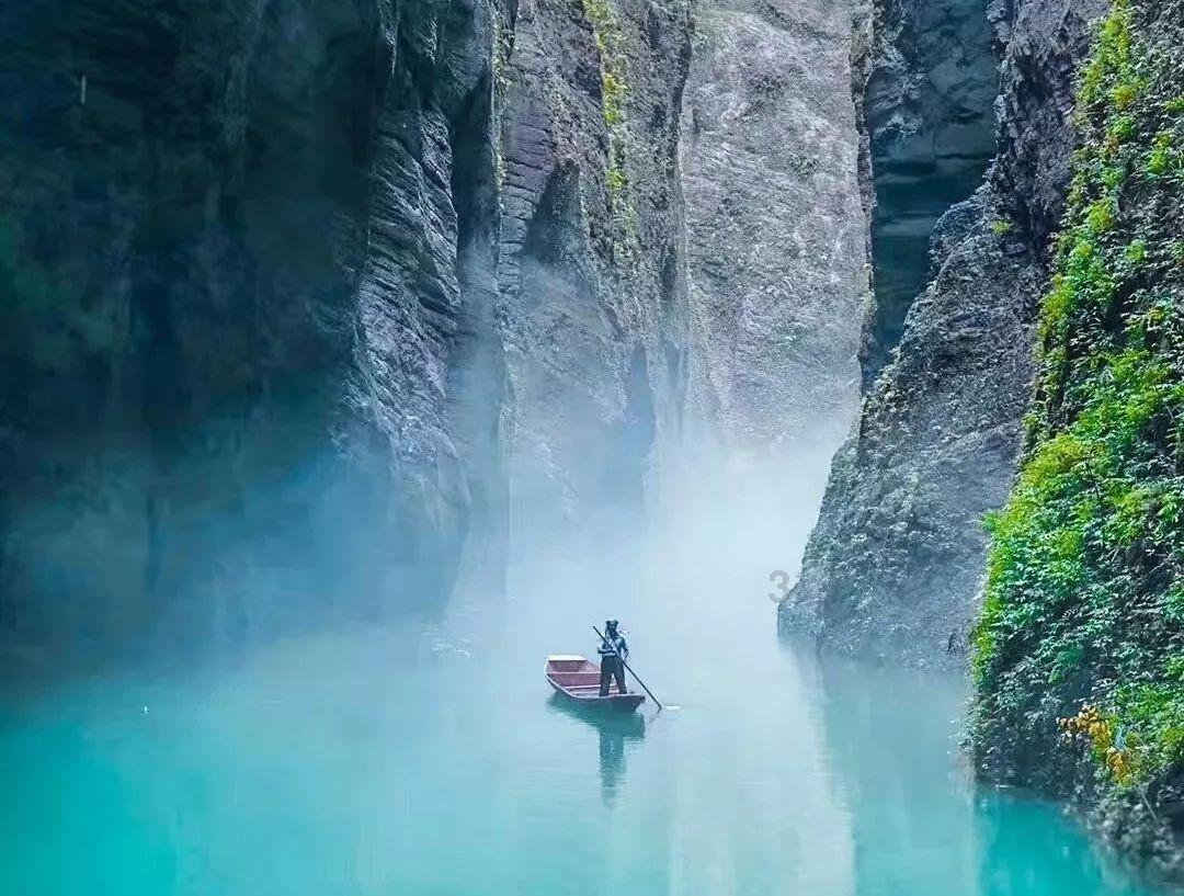 逃离棕榈树森林