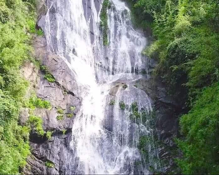 私立幼儿园需要教师资格证吗游戏画面